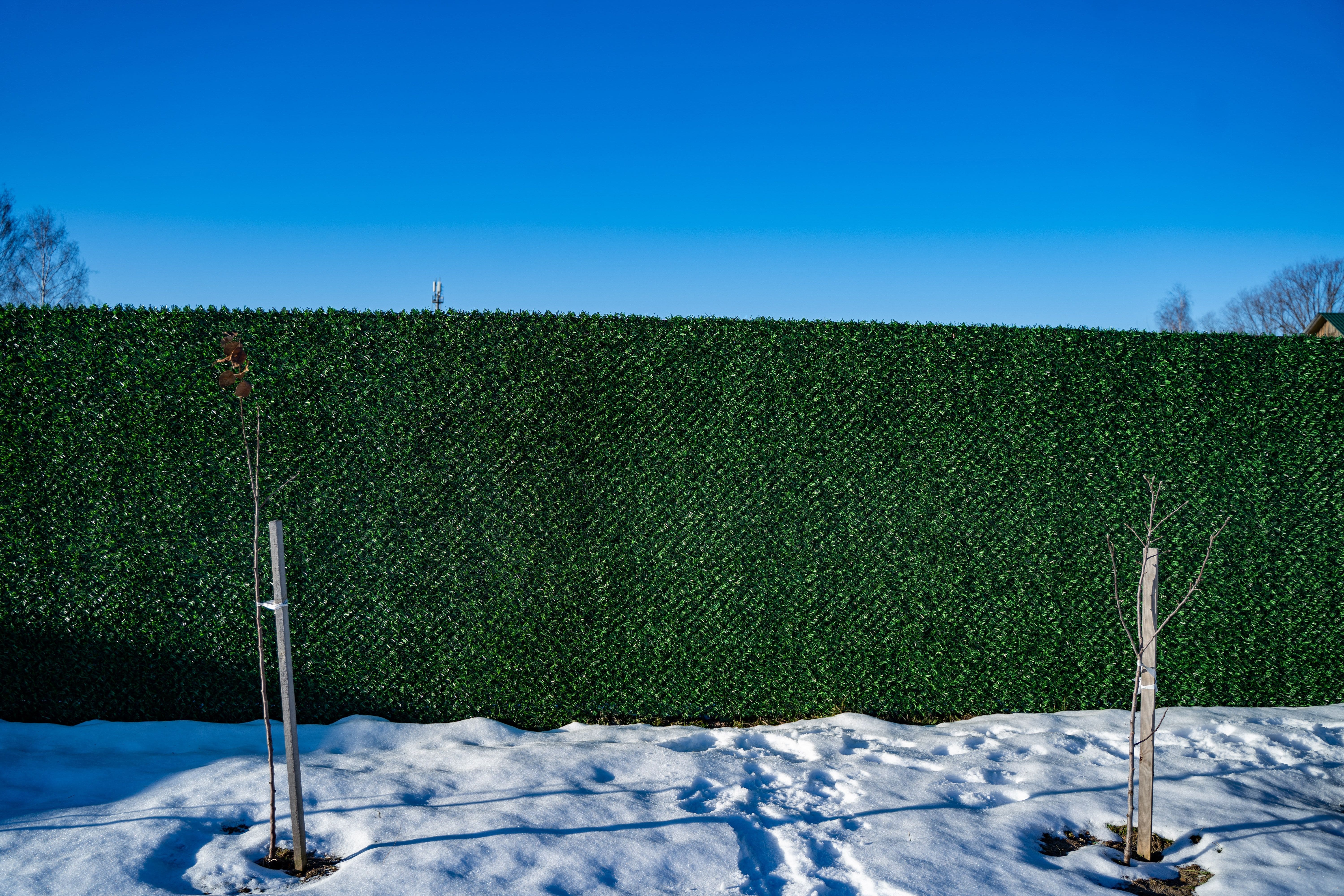 Вечнозеленый забор Grass Fence рулон 2м фото 8 в Тосно