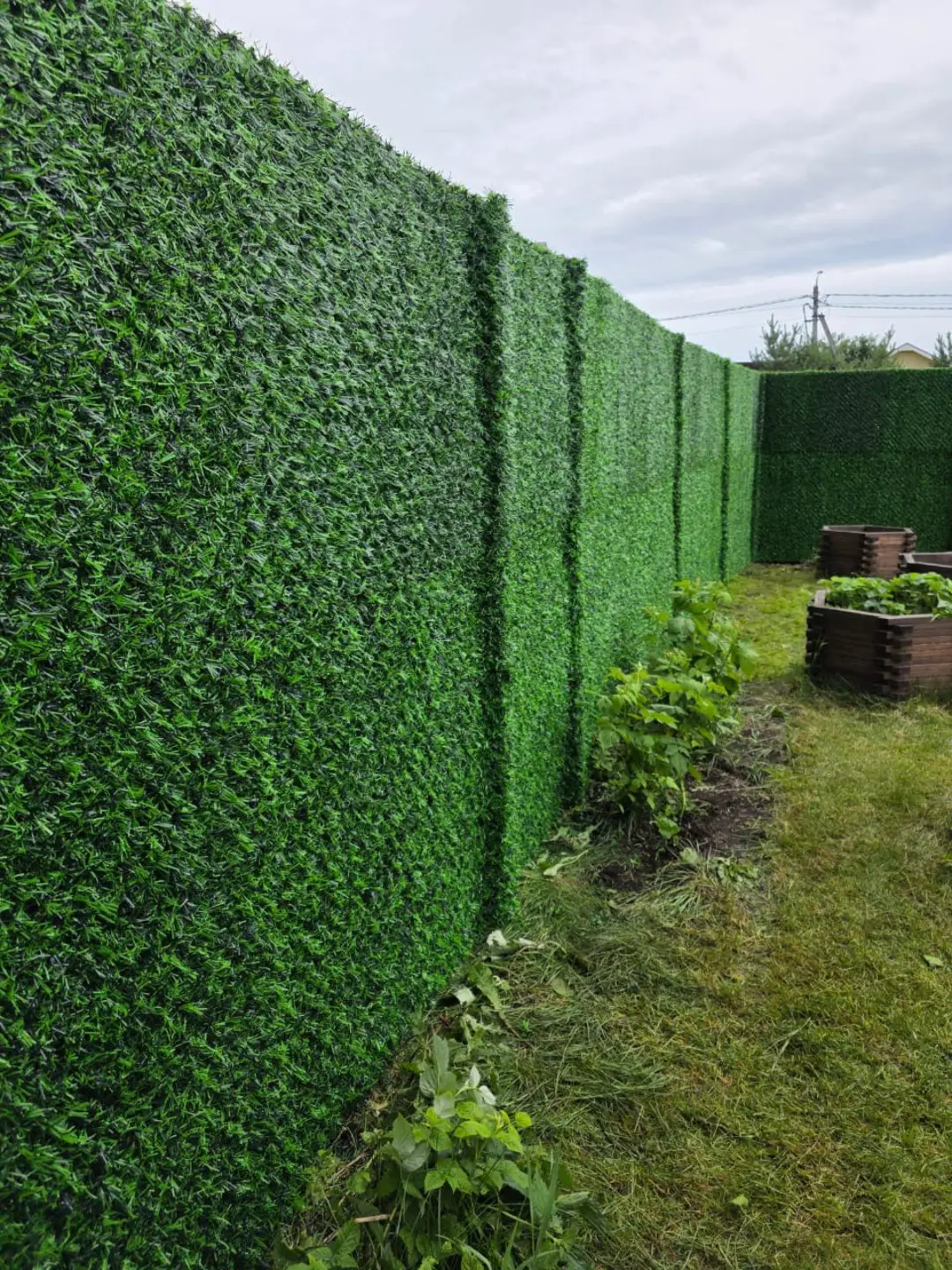 Вечнозеленый забор Grass Fence 37м фото 1 в Тосно